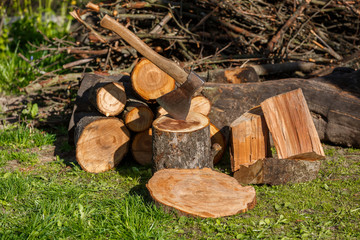 Firewood with an ax in a clearing with green grass