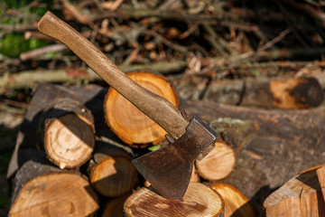 Firewood with an ax in a clearing with green grass