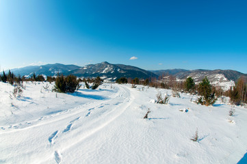 Fototapeta na wymiar clearing in the winter mountains on a sunny day for outdoor activities and walks