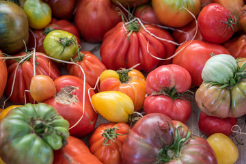 Variety old organic tomatoes on a market