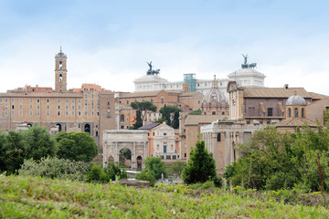 Obraz premium View of the Roman Forum in Rome during cloudy day, Italy