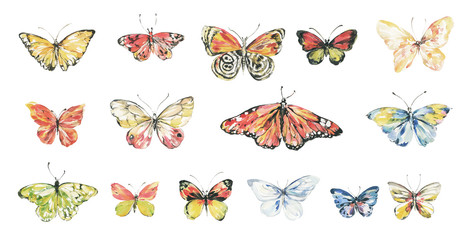 Butterfly watercolor illustration.Manual composition.Big Set watercolor elements. - 336327943