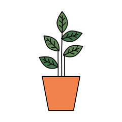 plant in house pot isolated icon vector illustration design