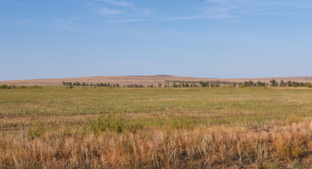 desert steppe dry grass