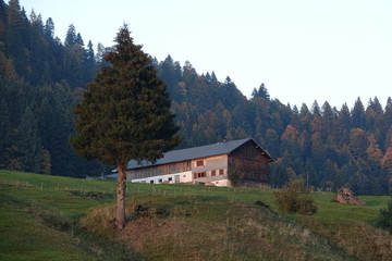 Fototapeta na wymiar Bauernhof bei Schröcken, Vorarlberg