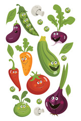Fresh veggies chilli pepper, cucumber, carrot, garlic, eggplant and onion, zucchini, radish and tomato. Vegetables poster. 