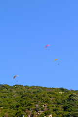 パラグライダー