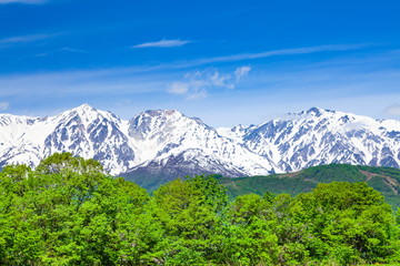 春の北アルプス、長野県北安曇郡白馬村にて © photop5