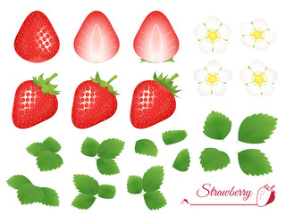 苺のイラスト_花_葉_セット