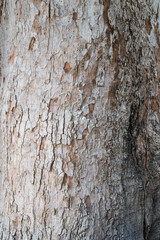 Wood textured.