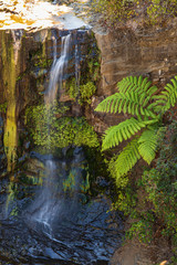Mokoroa New Zealand 02/20/2020. Waterfall and fern in New Zealand