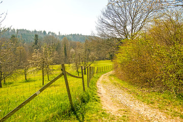 landscape with way, meadow, trees, bushes in early spring in Germany