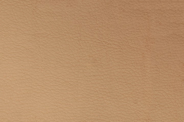 Beige genuine leather texture. Background, blank