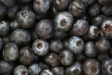 Background formed with ripe blueberry