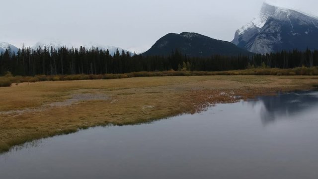 Lago di montagna, riflessi, palude