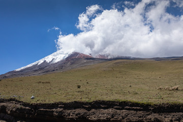 View from Cotopaxi volvcano during trekking trail. Cotopaxi National Park, Ecuador. South America.