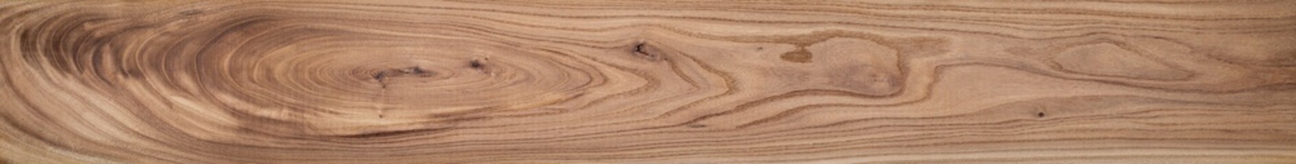 Elm long plank texture background.  Old elm texture background.