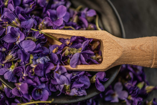 fresh violeta violet blossom flower heads  in a black ceramic dish with wooden spoon