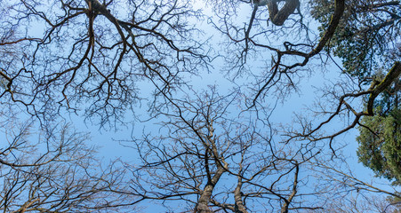Slottskogen forest