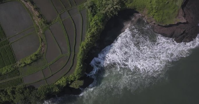 Aerial view of rice fields and Kedungu beach, Bali, Indonesia