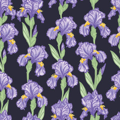 Hand Drawn Seamless Floral Pattern with Irises - vector illustration