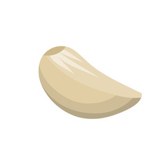 Garlic cloves. Spicy vegetable. Healthy diet. Seasoning and herb. Vector Cartoon illustration. Element of harvest. Natural product.