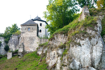 Fototapeta na wymiar Zamek w Ojcowie – ruiny zamku, wybudowanego w systemie tzw. Orlich Gniazd, we wsi Ojców w województwie małopolskim, w powiecie krakowskim. 
