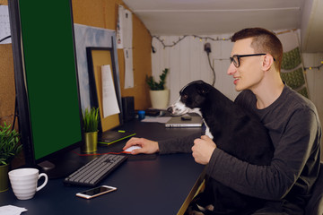 Stay at home, a man sits at a computer at home, a dog interferes with work. A man works at home,...