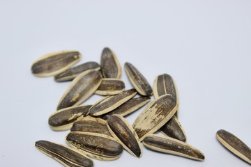 Seed of sun flower in white background