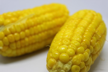Yellow Corn in White Background 