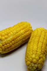 Yellow Corn in White Background 