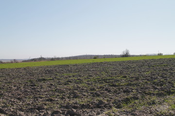 plowed field in spring