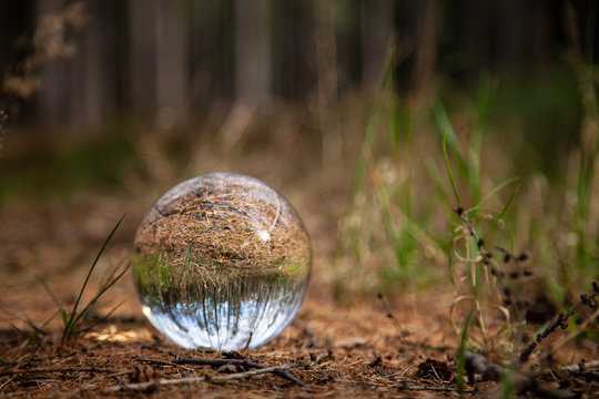 Glaskugel auf dem Waldboden Welt umgedreht Blick durch die Kugel Crystal ball
