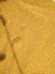 Food background of yellow mustard seeds, top view