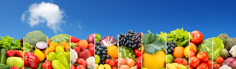 Panorama vegetables and fruits separated by vertical lines against bright blue sky.