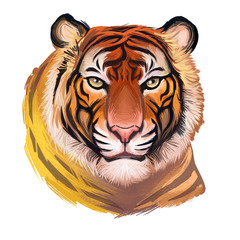 Tiger watercolor portrait in closeup. Hand drawn panthera tigris, wild cat of large size. Felidae family member mammal with furry coat. Predator wildlife, carnivore beast digital art illustration