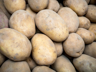 Fresh organic potato on white background.
