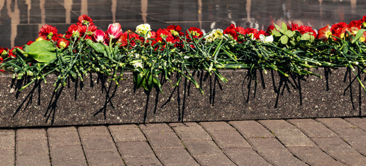 Red carnations lie at the foot of a granite monument. Celebrating Victory Day on May 9th. Horizontal long frame. Dianthus caryophyllus