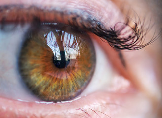 eye looking into the distance and reflecting the life around us