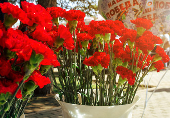 Bouquet of red carnations in a plastic vase. Sale on the street during the May 9 holiday of Russia. Greeting card for the Victory Day on May 9, horizontal frame. Dianthus caryophyllus