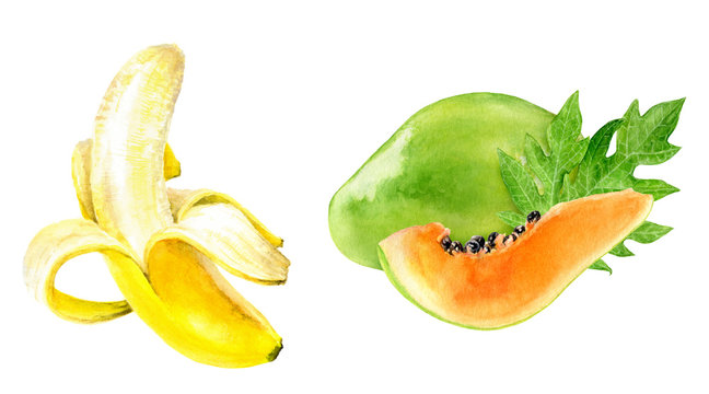 Papaya banana watercolor illustration isolated on white background