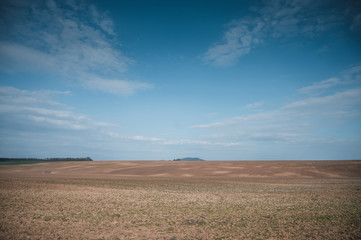 Spring field landscape. Blue sky with white clouds in background.