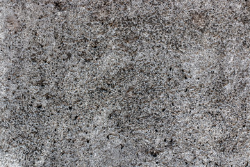 Full frame of old concrete wall, nature used as background.