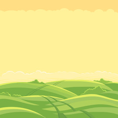 Obraz premium Green field landscape. Field track road. Copy space. Spring grass. Agricultural farming and hunting acreage. Vector background.
