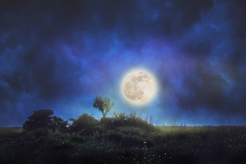 Fototapeta na wymiar Night landscape with big moon in sky covered with clouds