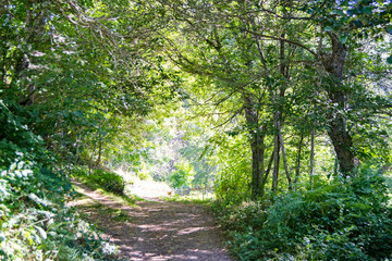 Igueña población de León