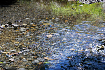 Igueña población de León