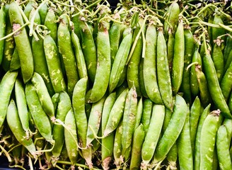 Fototapeta premium green beans on the market