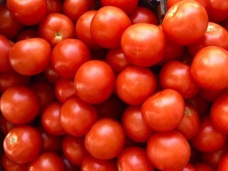 red tomatoes a daily use vegetable 