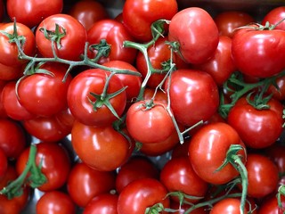 cherry tomatoes isolated 